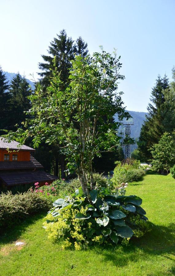 Die Kalsbergerin Ferienwohnung Fuer Geniesser Donnersbachwald Ngoại thất bức ảnh